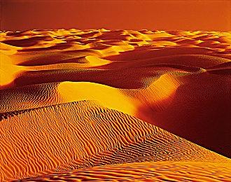 《渔帆暗涌》首款DLC正式上线 本体特别好评